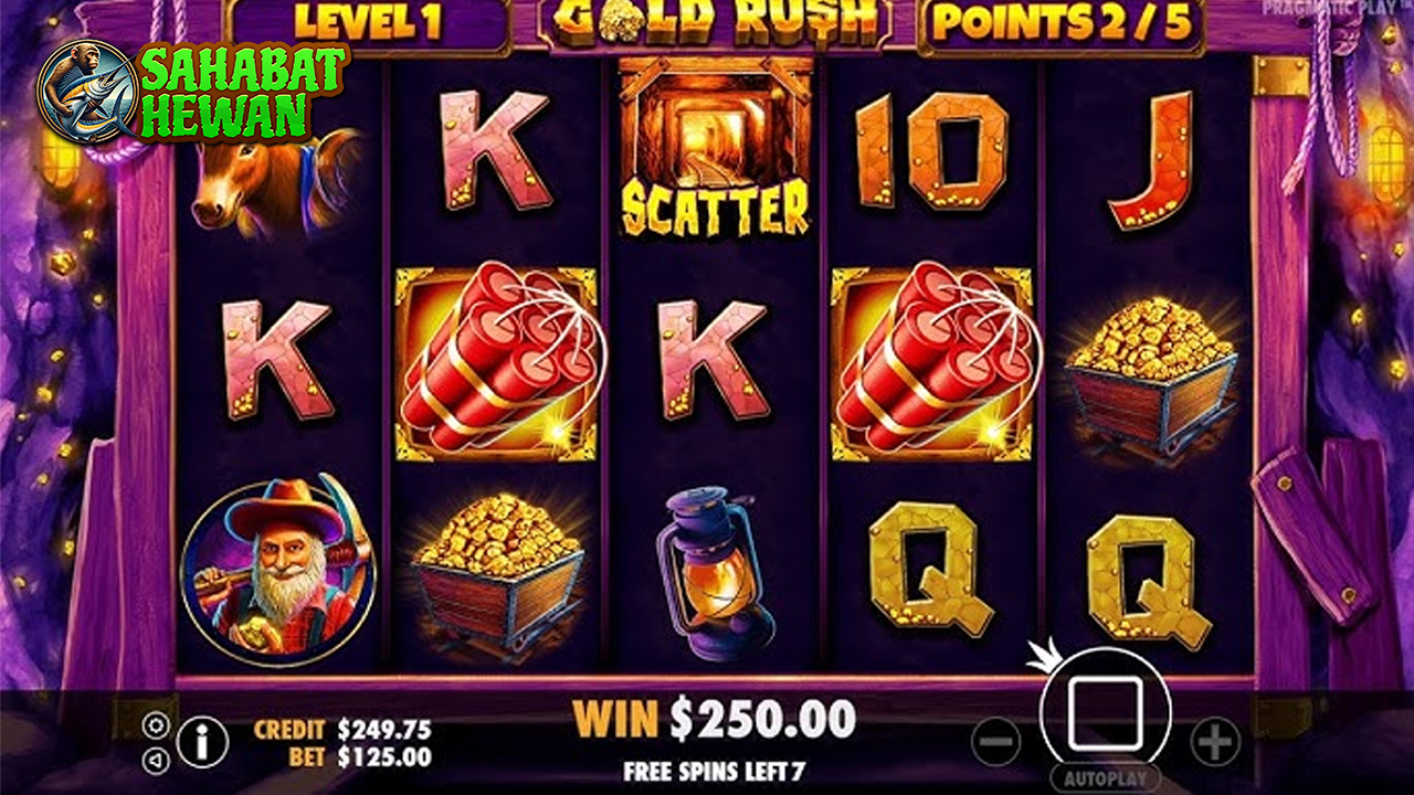 Slot Gold Rush: Ulasan Mendalam dan Cara Raih Hadiah Besar!