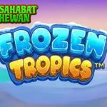 Rtp8000 Slot Pulsa Keasyikan Bermain di Frozen Tropics!