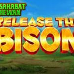 Release The Bison Rtp8000 dan Peluang Menarik Menanti!