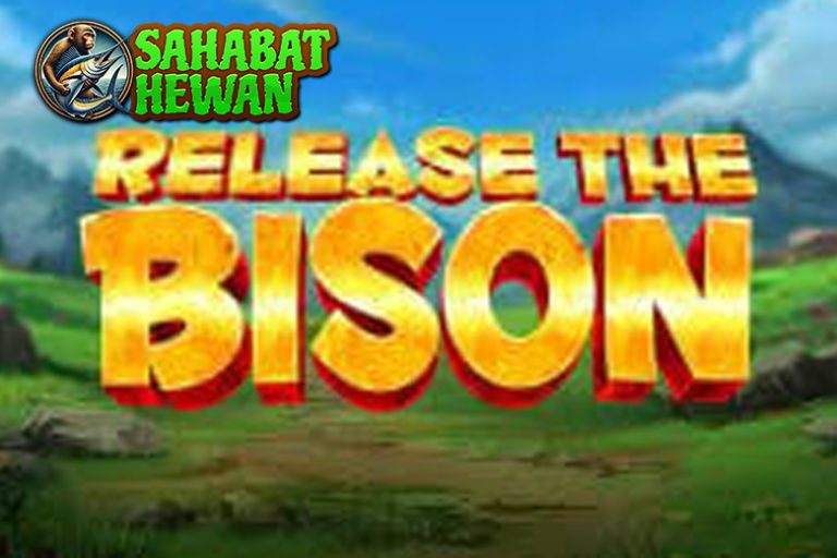 Release The Bison Rtp8000 dan Peluang Menarik Menanti!