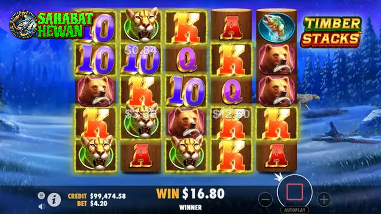 Cnnslot AMP Login Bermain Timber Stacks Jackpot Menanti!