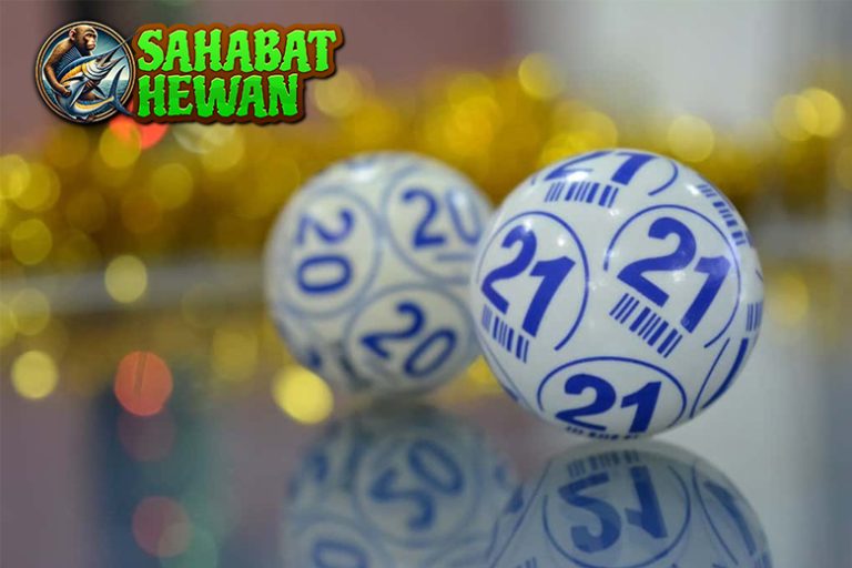 Perbandingan Situs Togel Online Pilih yang Paling Pas!