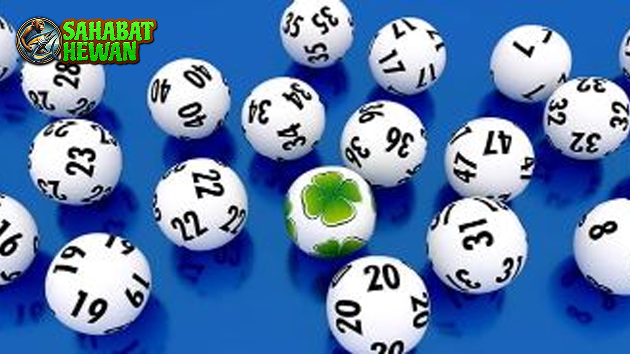 Perbandingan Situs Togel Online Pilih yang Paling Pas!