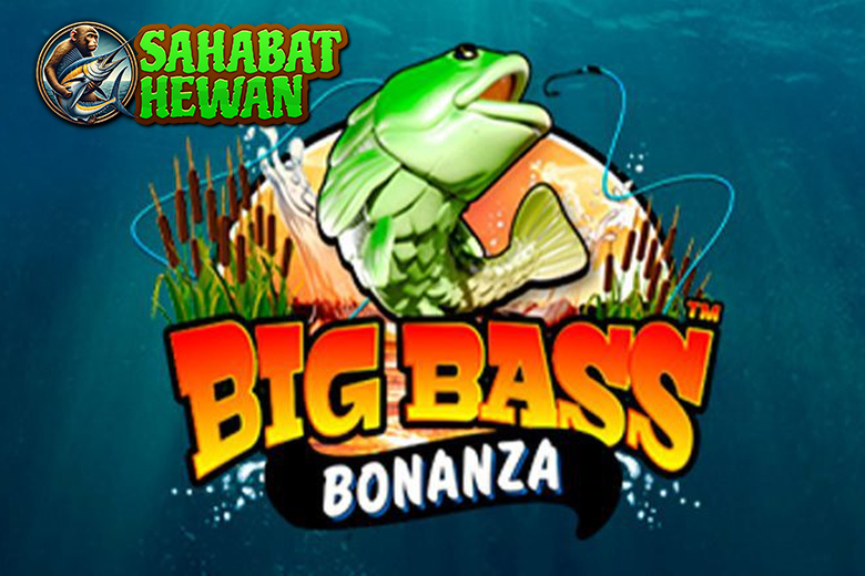 Cnn Slot Big Bass Bonanza dengan Pasti Gampang Menang!