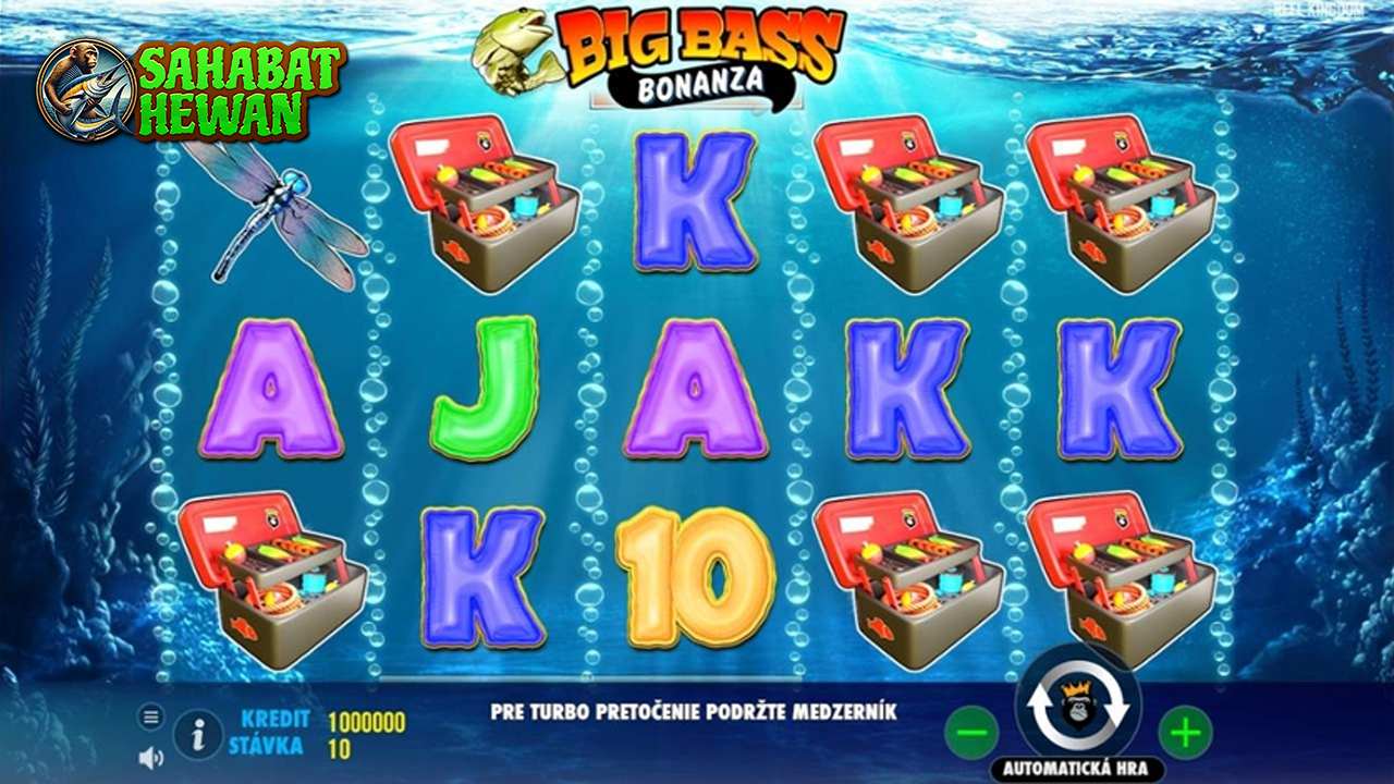 Cnn Slot Big Bass Bonanza dengan Pasti Gampang Menang!
