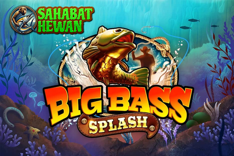 Main Big Bass Splash di Cnn Slot Slot Online Bikin Ketagihan!