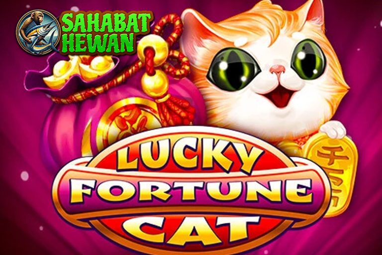 Dijamin Kinclong! Bocoran RTP Slot Lucky Cat Ruby 8000!