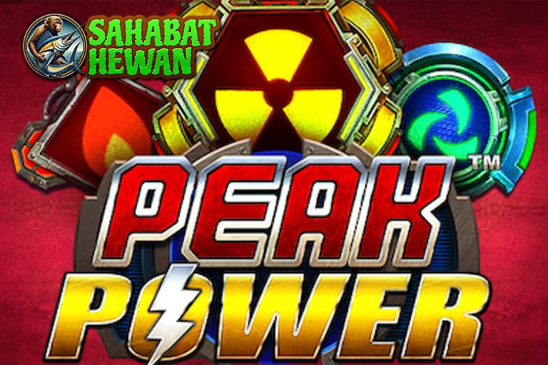 Login Ruby8000 Akses Slot Peak Power 24 Jam Nonstop!
