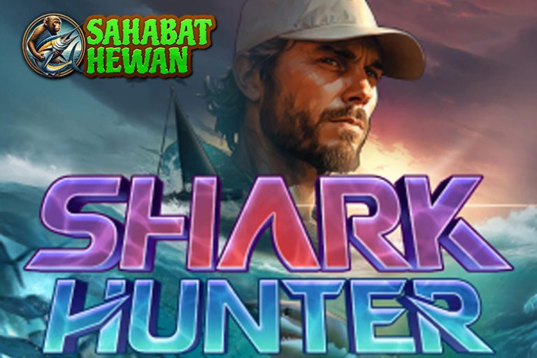 RUBY8000 Login Buka Pintu Keberuntungan di Shark Bounty!