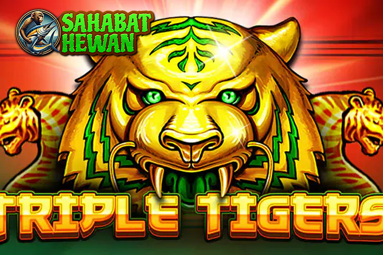 Kehebatan Game Slot Online Triple Tigers dengan Harimau Sakti!