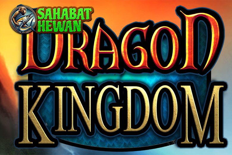 Link Gacor Dragon Kingdom Kunci Sukses Main Slot Online