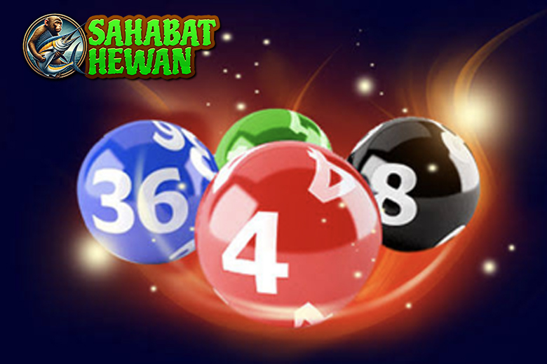 Panduan Seru Bermain Togel Hongkong Online dengan Mudah