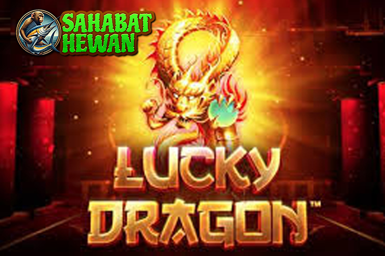 Link Gacor Lucky Dragons Slot Desain Oriental Autentik!