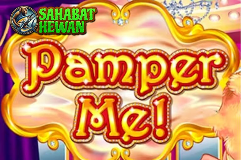 Ccnnslot Keistimewaan Slot Pamper Me 3 Hal Penting