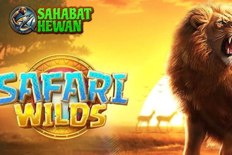 Cnnslot Login 5 Elemen Unik Bikin Safari Wilds Berbeda!