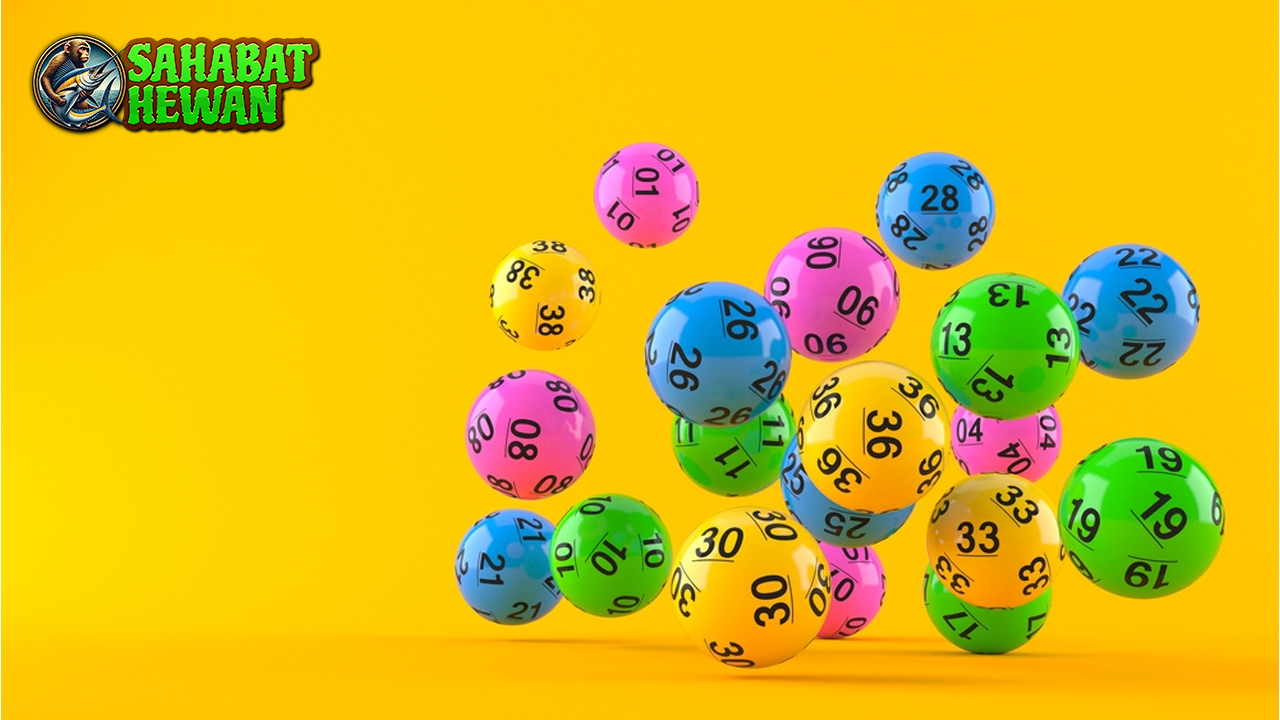Ternyata Bisa Tebak Togel Online Unik 4 Menu Warung