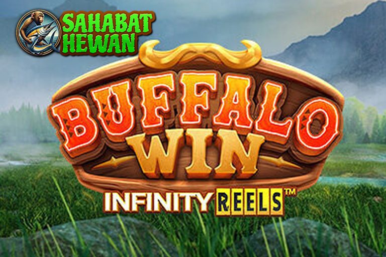 Situ Bandar 4D Sambut Buffalo Win dengan Gebrakan Baruv