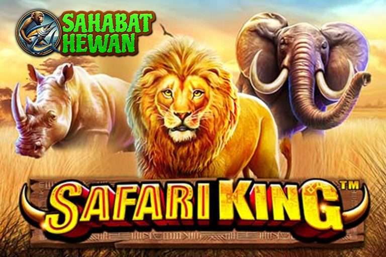 Safari King Login Rtp8000 Expedition atau Keajaiban Pahit?