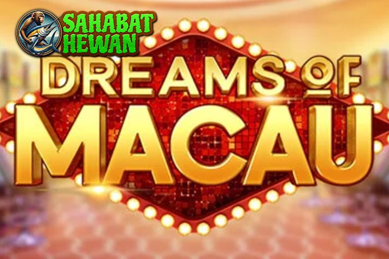 CNNSLOT Dreams of Macau 99% Pemain Bertarung Ini!