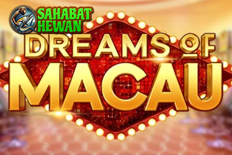 CNNSLOT Dreams of Macau 99% Pemain Bertarung Ini! 3 CNNSLOT Dreams of Macau 99% Pemain Bertarung Ini!