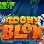 Loony Blox Koleksi 15 Blok Unik Hanya di Link Resmi Cnnslot
