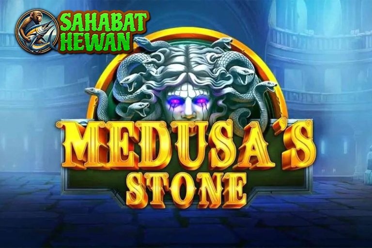 Cnnslot Asli Sajikan 9 Aspek Medusa’s Stone Patut Dicatat