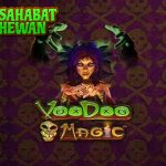 Voodoo Magic Cnnslot Jimat Uang 50jt Mengalir Terus!