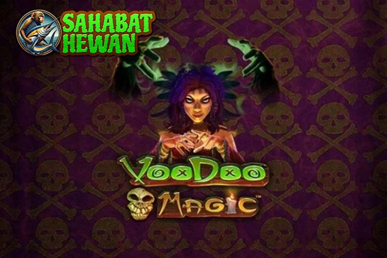 Voodoo Magic Cnnslot Jimat Uang 50jt Mengalir Terus!
