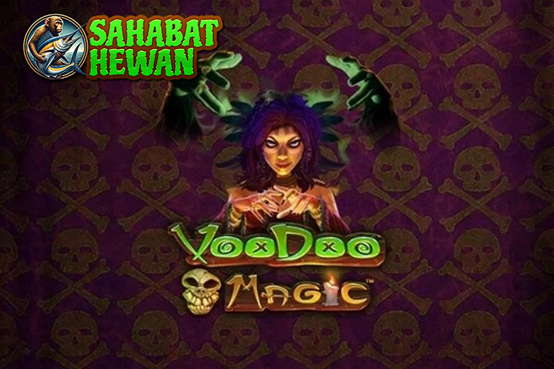 Voodoo Magic Cnnslot Jimat Uang 50jt Mengalir Terus!
