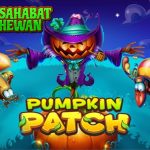 Pumpkin Patch Login Resmi Cnnslot Panen 2 Mistik!