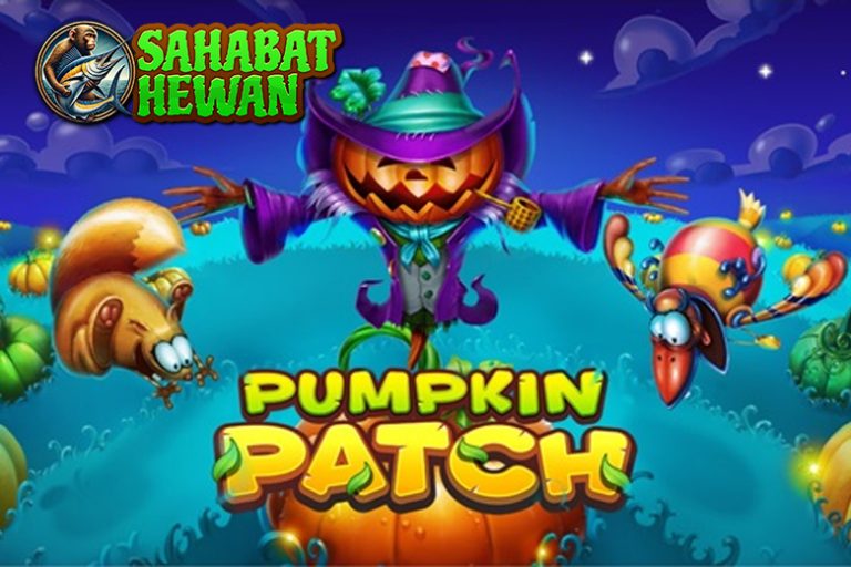 Pumpkin Patch Login Resmi Cnnslot Panen 2 Mistik!