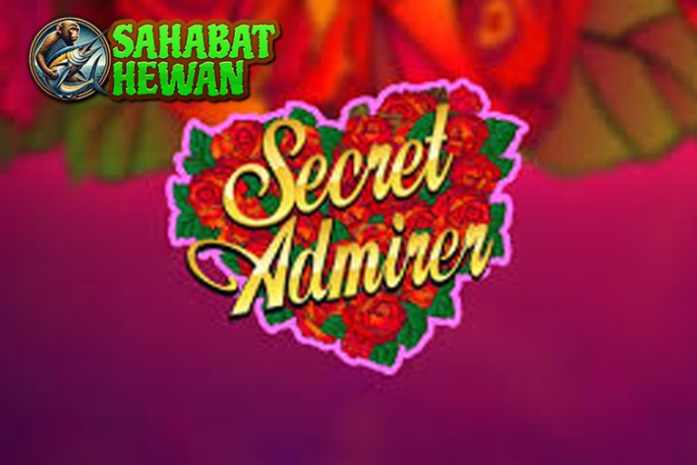 Slot Online Secret Admirer 6 Hadiah dari sang Kekasih