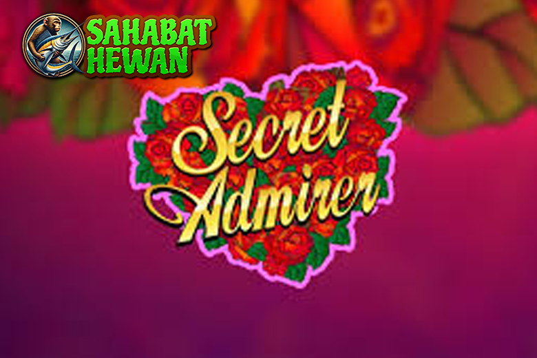 Slot Online Secret Admirer 6 Hadiah dari sang Kekasih 4 Slot Online Secret Admirer 6 Hadiah dari sang Kekasih
