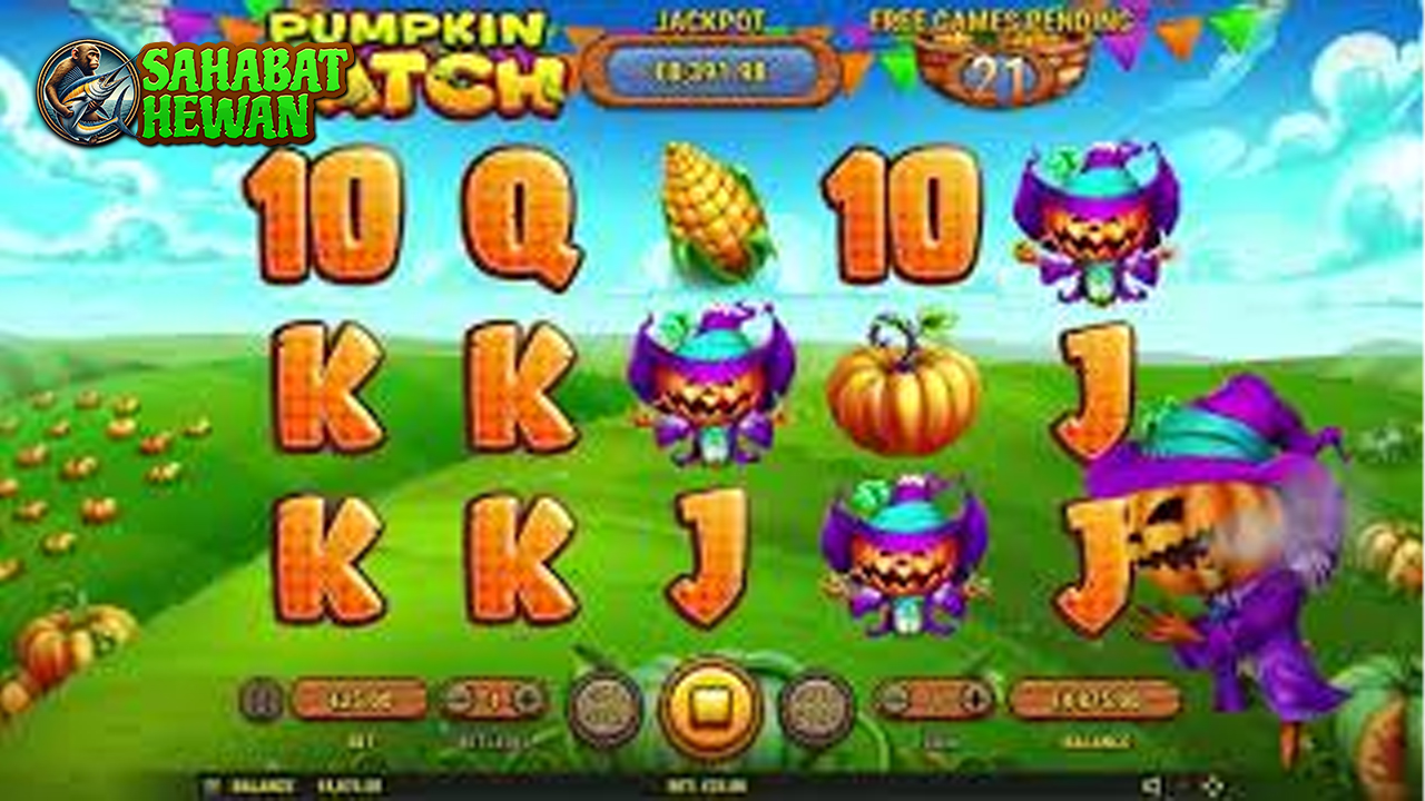 Pumpkin Patch Login Resmi Cnnslot Panen 2 Mistik!
