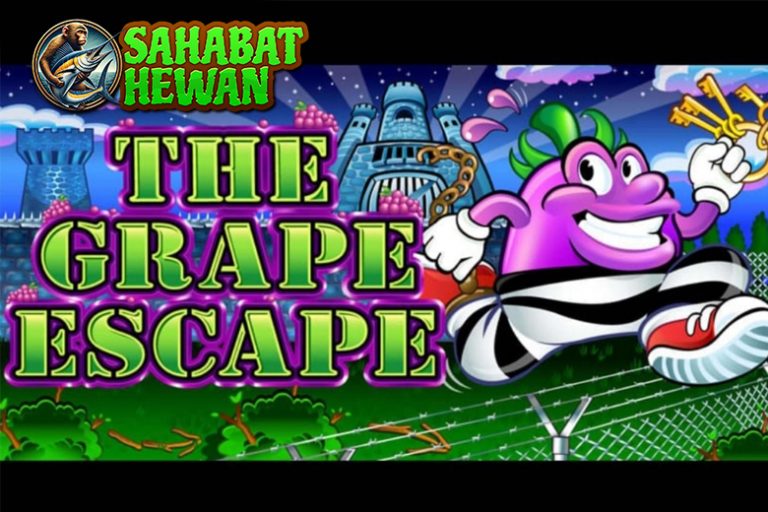 Grape Escape Unik 60 Kebun Anggur di Game Digital!