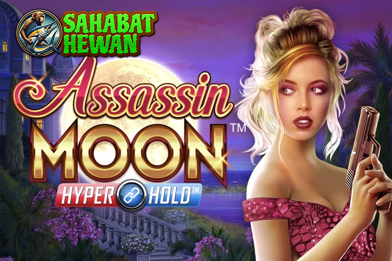 Cnnslot Misi Rahasia Game 1 Assassin Moon Dimulai! 4 Cnnslot Misi Rahasia Game 1 Assassin Moon Dimulai!