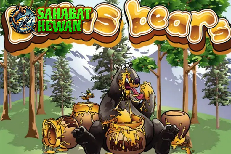 Bonus Bears Cnnslot 21 Slot Paling Lucu