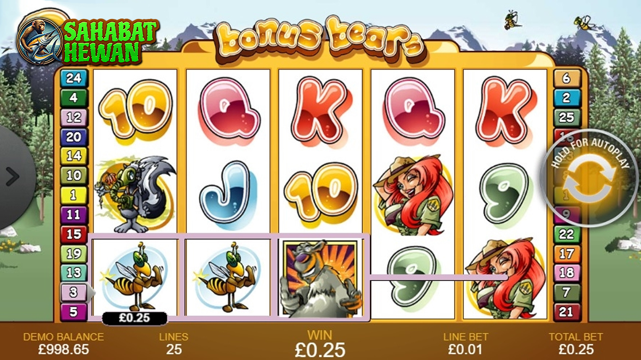 Bonus Bears Cnnslot 21 Slot Paling Lucu