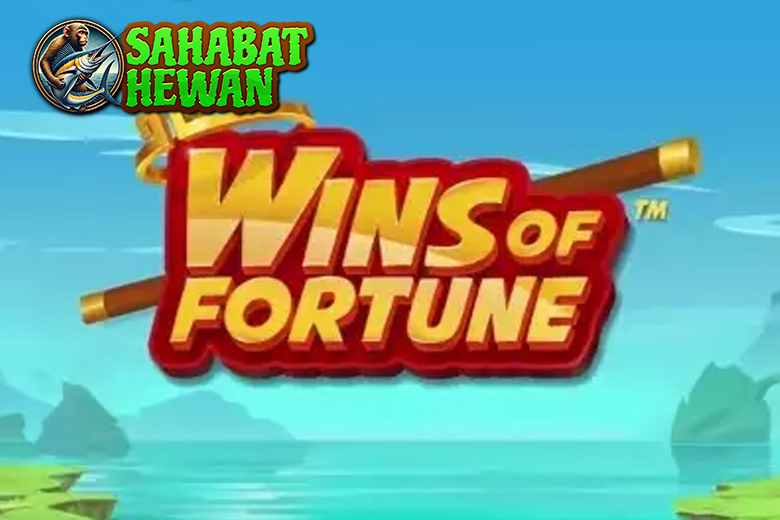 Slot Online Wins Of Fortune 12x Aksi Epik Tanpa Henti!