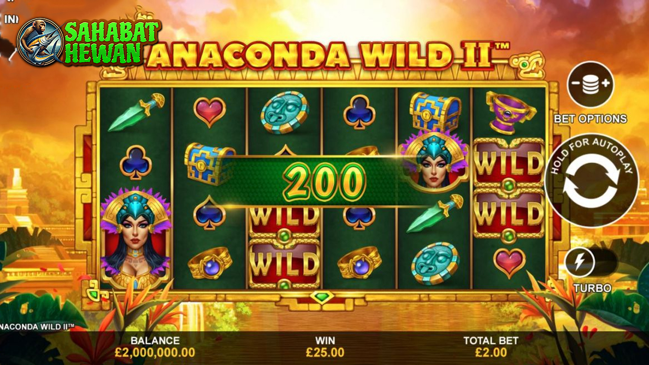 Anaconda Wild 2 Bisa Aktif Cnn slot Merinding