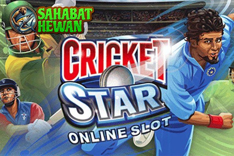 Cricket Star Rtp 8000 Aksi Lapangan dalam Dunia Slot