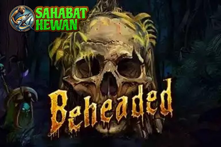 Cnn slot Suguhkan 96 Beheaded Slot Gelap Brutal