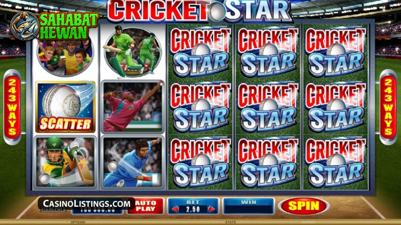 Cricket Star Rtp 8000 Aksi Lapangan dalam Dunia Slot