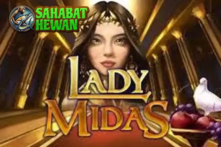 Lady Midas di Ruby8000 Kaya Bukan Lagi Mimpi 33 Lady Midas di Ruby8000 Kaya Bukan Lagi Mimpi