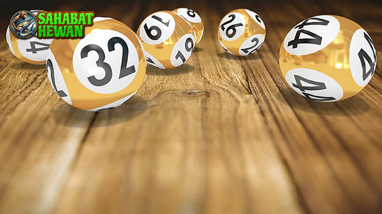 Togel Online Dapet Baru 1 Motor Bisa! Yang Bener?