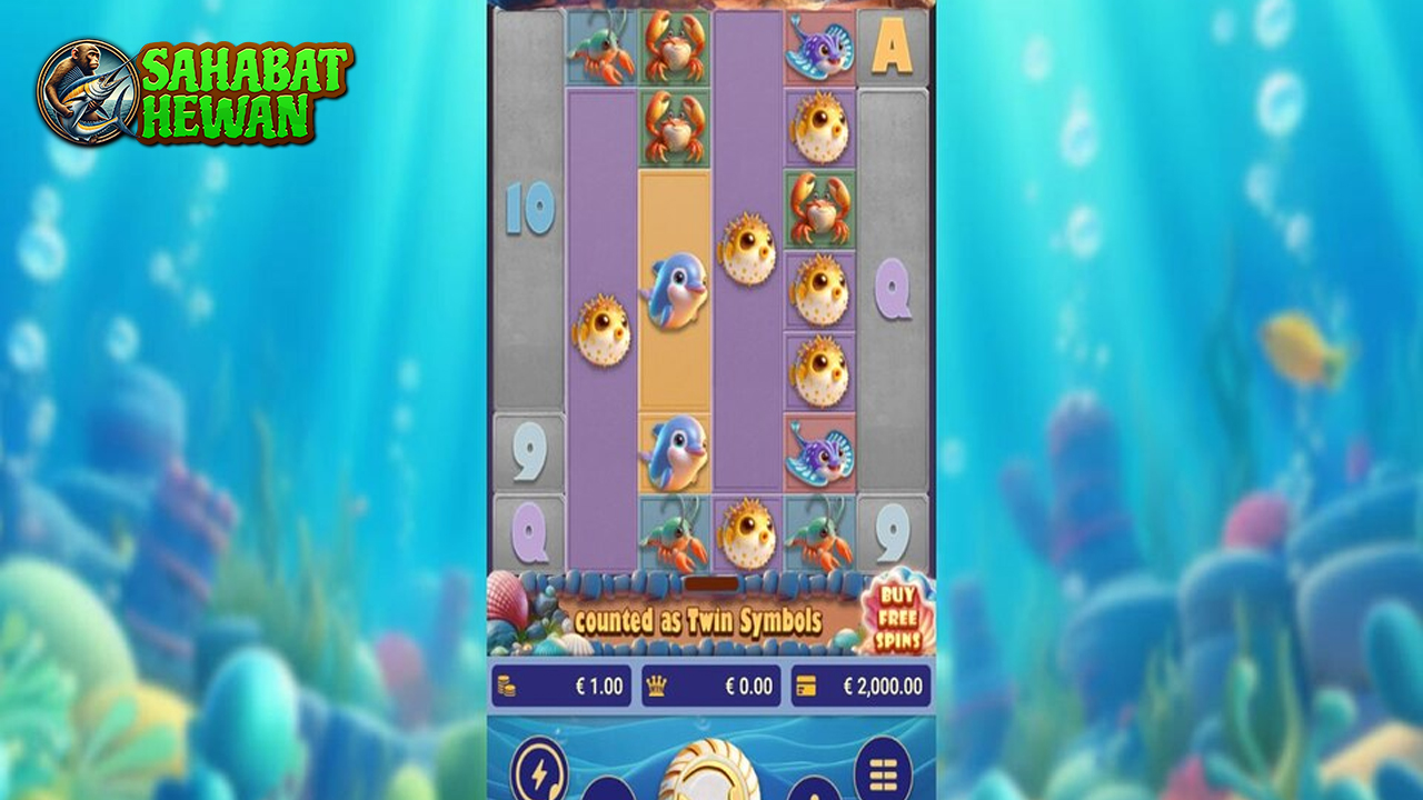 Lucky Twin Sea Hidup Portal Ruby8000 Login