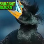 Kormoran 1 Burung Penyelam Ulung Dunia Air