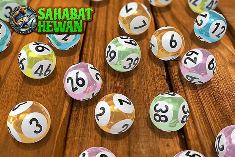Togel Online Dapet Baru 1 Motor Bisa! Yang Bener?