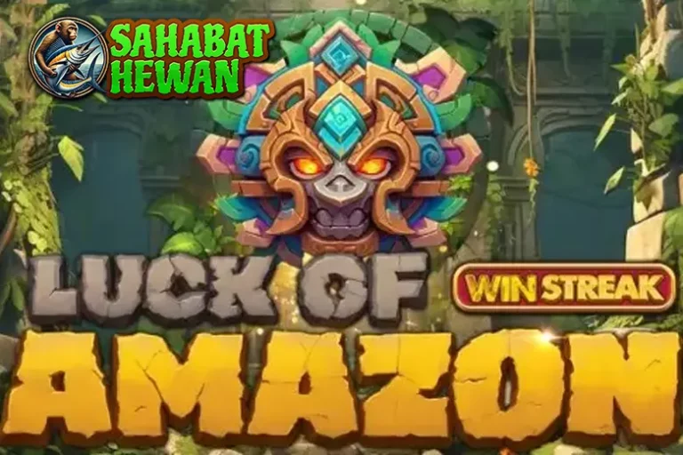 Link Ruby8000 Tantangan Duo Luck Of Amazon 40 Link Ruby8000 Tantangan Duo Luck Of Amazon