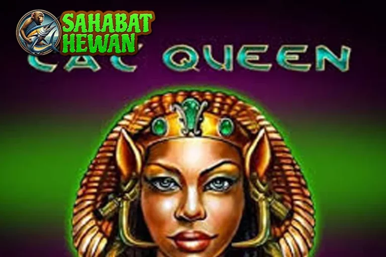 Cat Queen Lagi Ngetren Situs Toto Spesial 06!